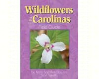 Wildflowers Carolinas FG-AP31959