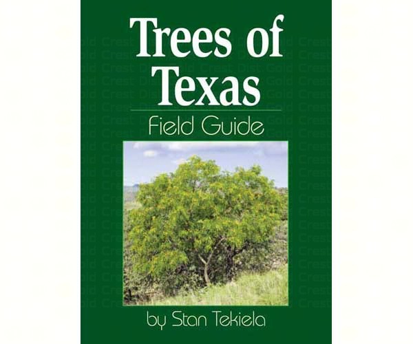 Trees Texas Field Guide
