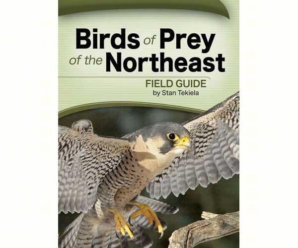 Birds of Prey of the Northeast