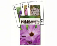 Wildflowers of the Southwest Playing Cards-AP33700