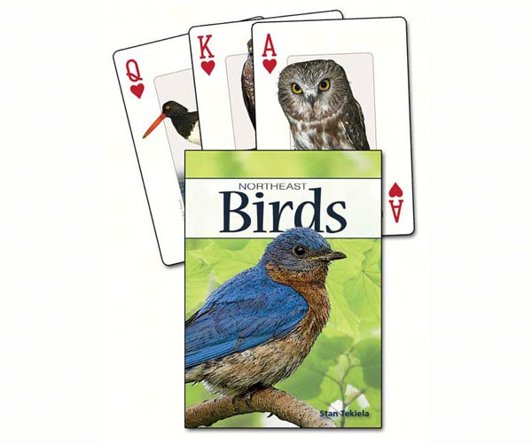 Birds of the Northeast Playing Cards