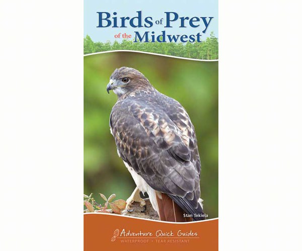 Birds of Prey Midwest Quick Guide