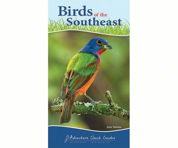 Birds of Southeast Quick Guide