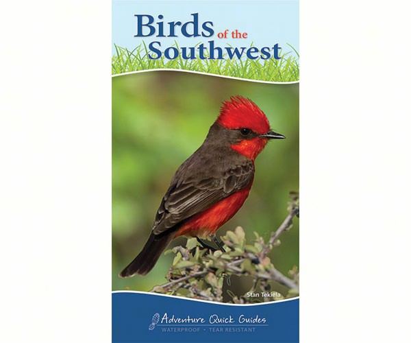 Birds of Southwest Quick Guide