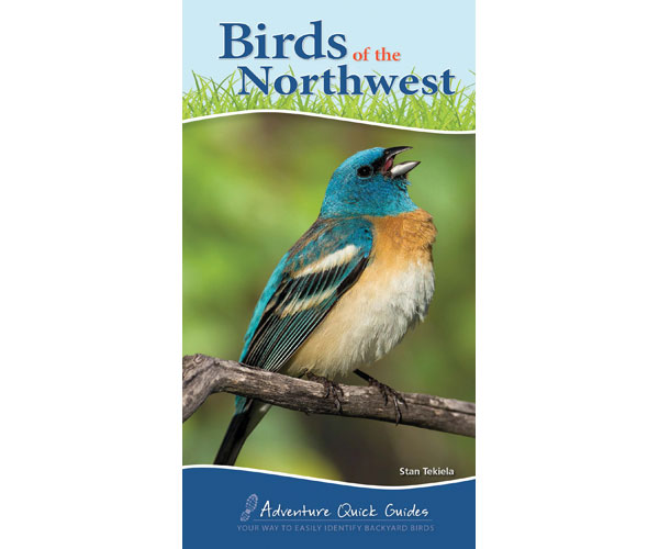 Birds of Northwest Quick Guide