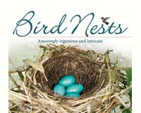 Bird Nests-AP34684
