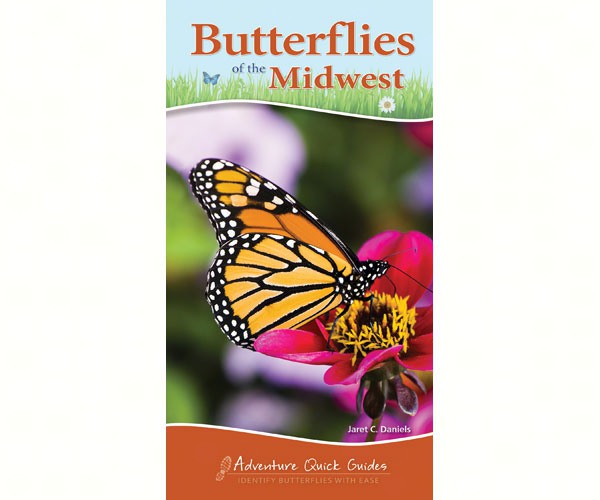 Butterflies of Midwest Quick Guide