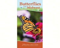 Butterflies of Midwest Quick Guide-AP35209