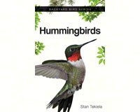 Hummingbirds AP35292