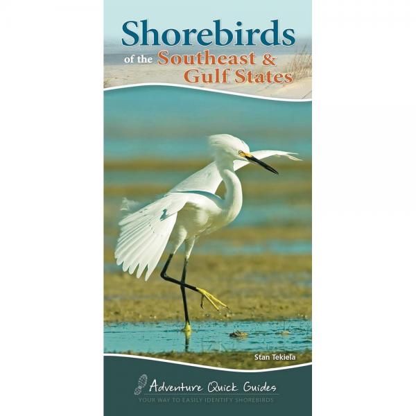 Shorebirds of the Southeast and Gulf States
