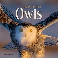 Our Love of Owls-AP38132