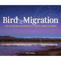 Bird Migration-AP38149