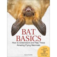Bat Basics-AP38439