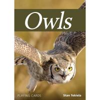 Owls Playing Cards-AP39344
