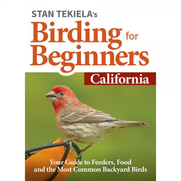 Birding for Beginners California