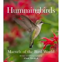 Hummingbirds Marvels of the Bird World-AP52466