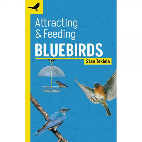 Attracting & Feeding Bluebirds