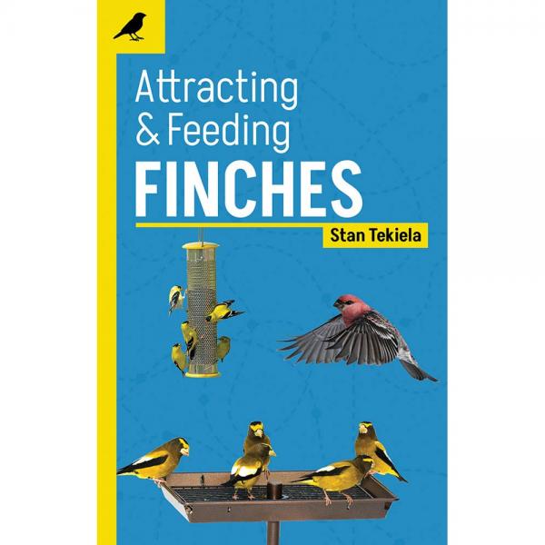 Attracting & Feeding Finches