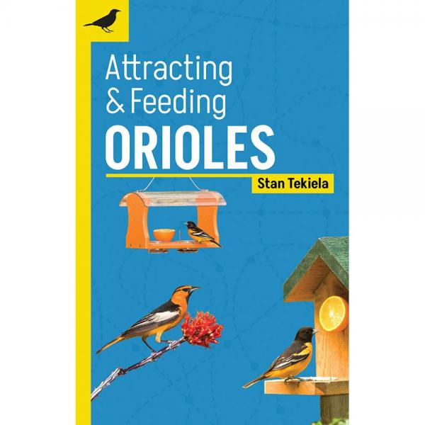 Attracting & Feeding Orioles
