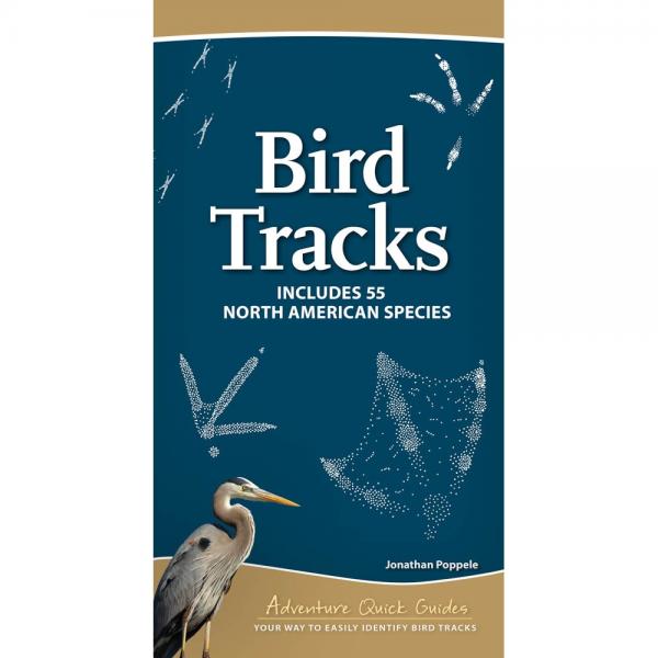 Bird Tracks of North American Species