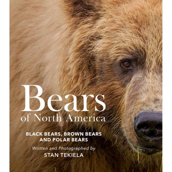 Bears of North America