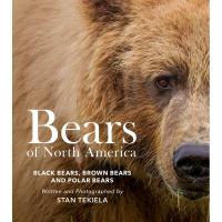 Bears of North America-AP54132