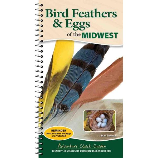 Bird Feathers & Eggs of the Midwest