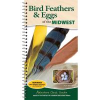 Bird Feathers & Eggs of the Midwest-AP55061