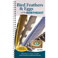 Bird Feathers & Eggs of the Northeast-AP55337