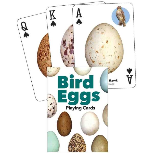 Bird Eggs Playing Cards