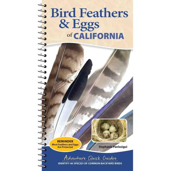Bird Feathers & Eggs of California Quick Guide