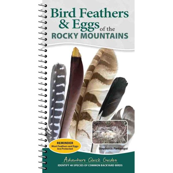 Birds Feathers & Eggs of Rocky Mountains Quick Guide