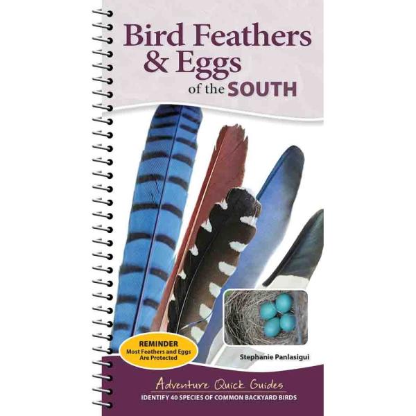 Bird Feathers & Eggs of the South Quick Guide