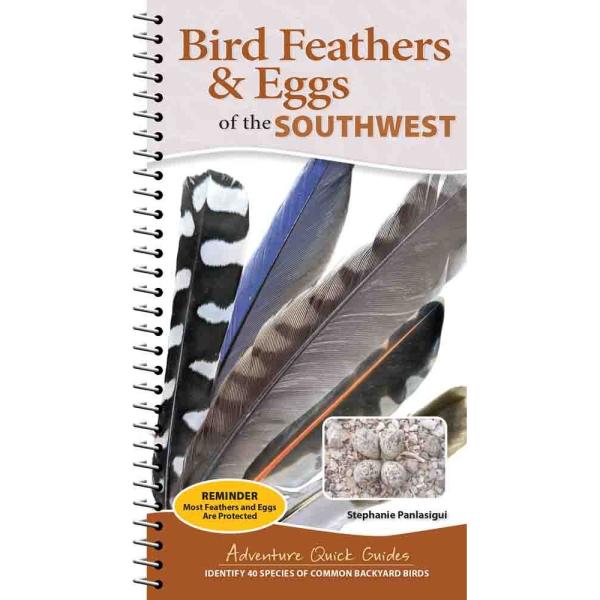 Bird Feathers & Eggs of the Southwest Quick Guide