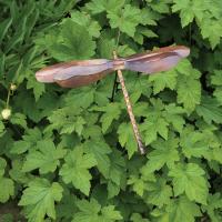 Staked Dragonfly-ANCIENTAG1020ST