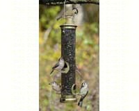 Seed Tube Medium Antique Brass Quick Clean Base-ASPECTS395