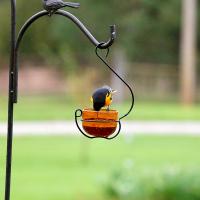 Orange Glass Hanging Treat and Mealworm Feeder-BE175