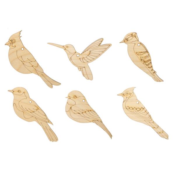 Backyard Birds Painting Kit