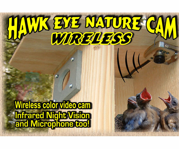 Hawk-Eye Wireless Spy Camera