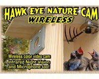 Hawk-Eye Wireless Spy Camera-BCAMHEW
