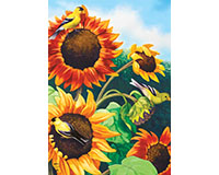 Sunflower Field Garden Flag-BLG00914