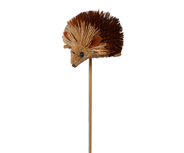 Hedgehog Brush Art Plant Pal