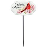 Cardinals Appear Comfort Stakes-CHA19364
