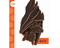 Bats Spot Backyard Animals-CB9781681522159