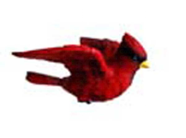 Cardinal Window Magnet