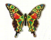 Large Multi Colored Butterfly Door Screen Saver-CC52071