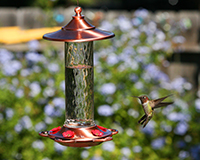 Glory hummingbird Feeder 12 oz-CLASSIC34