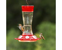 Garnet hummingbird Feeder 20 oz-CLASSIC36