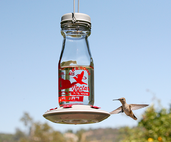Jersey Hummingbird Feeder