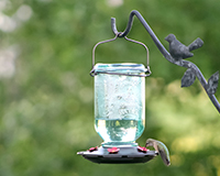 Mason Jar Hummingbird Feeder-CLASSIC68